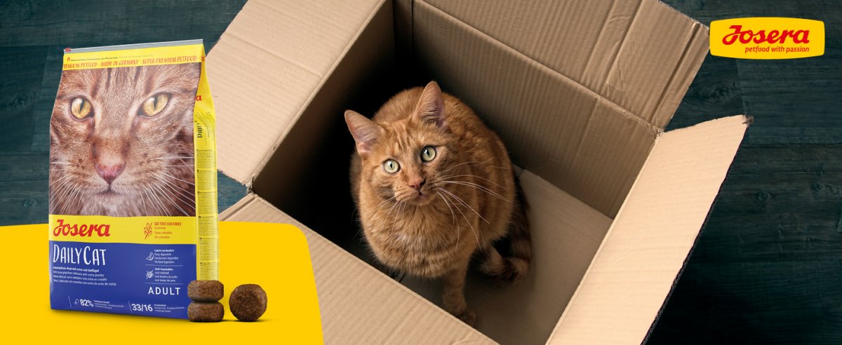 Čím vyniká kŕmenie Josera