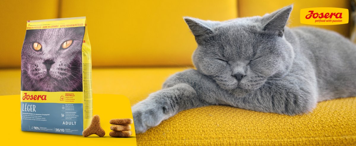 Čím vyniká kŕmenie Josera