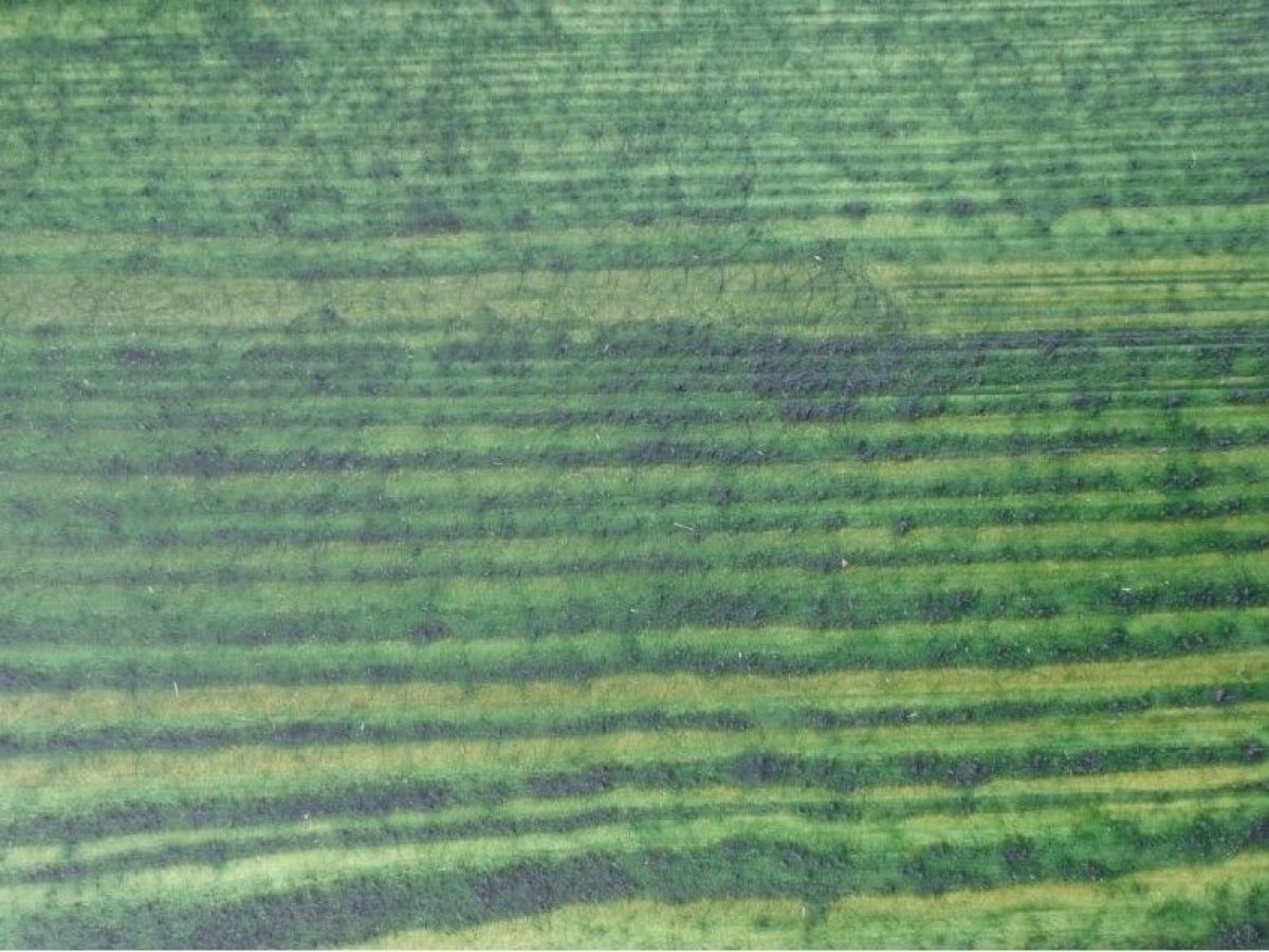 Ochrana pred škodami