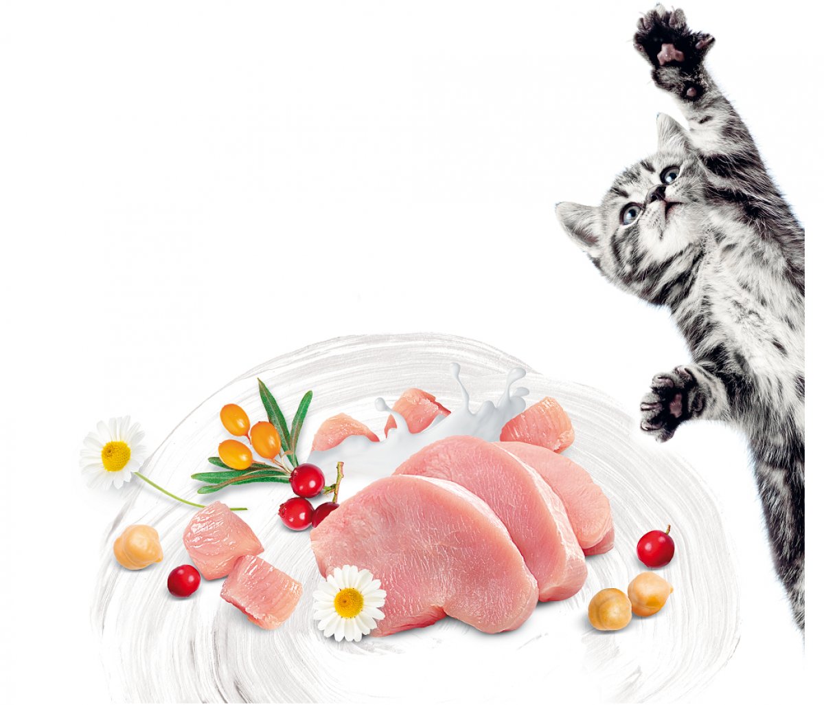 Zdravý vývoj mačiatok