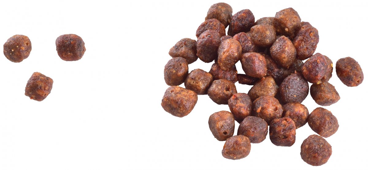 Správny rozvoj imunitného systému