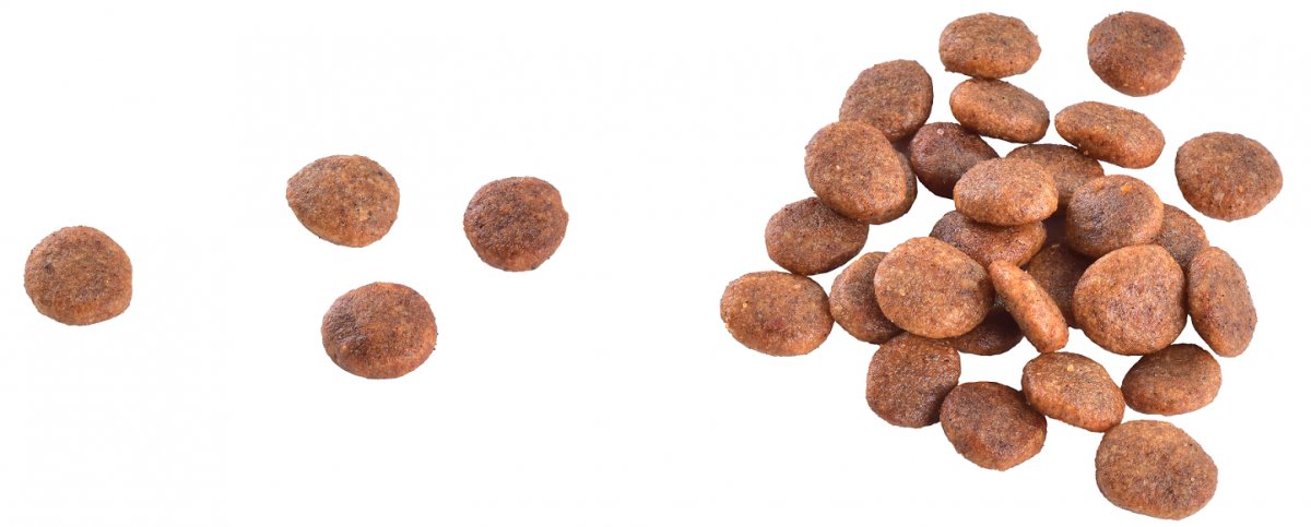 Zdravý zažívací trakt a udržanie hmotnosti