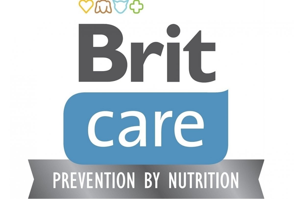 Zdravie svalov a kĺbov, lesklá srsť