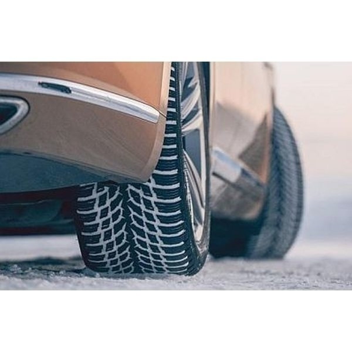 Nokian Tyres WR Snowproof 205/55 R16 91H od 169,54 € - Heureka.sk