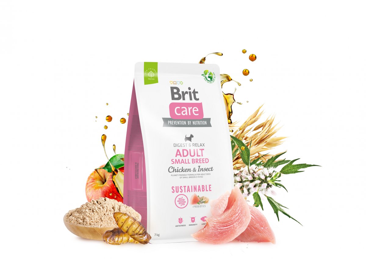 S obsahom kurčaťa a hmyzu