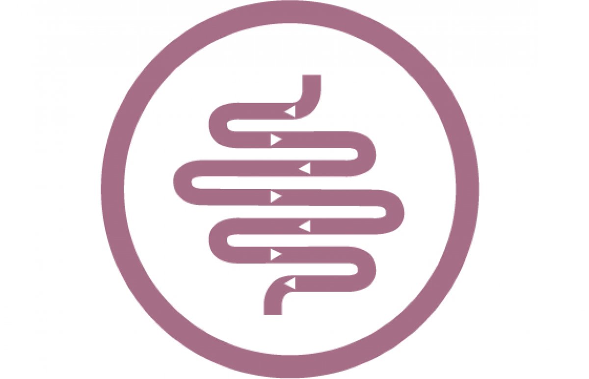 Jednoduchá stráviteľnosť