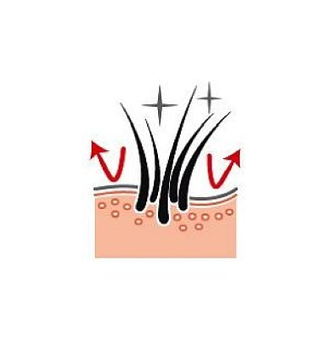 Zdravá koža a srsť