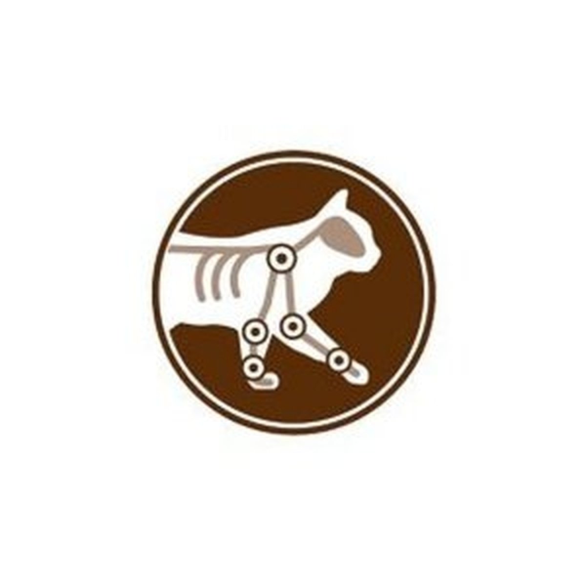 Kĺby v dobrej kondícii