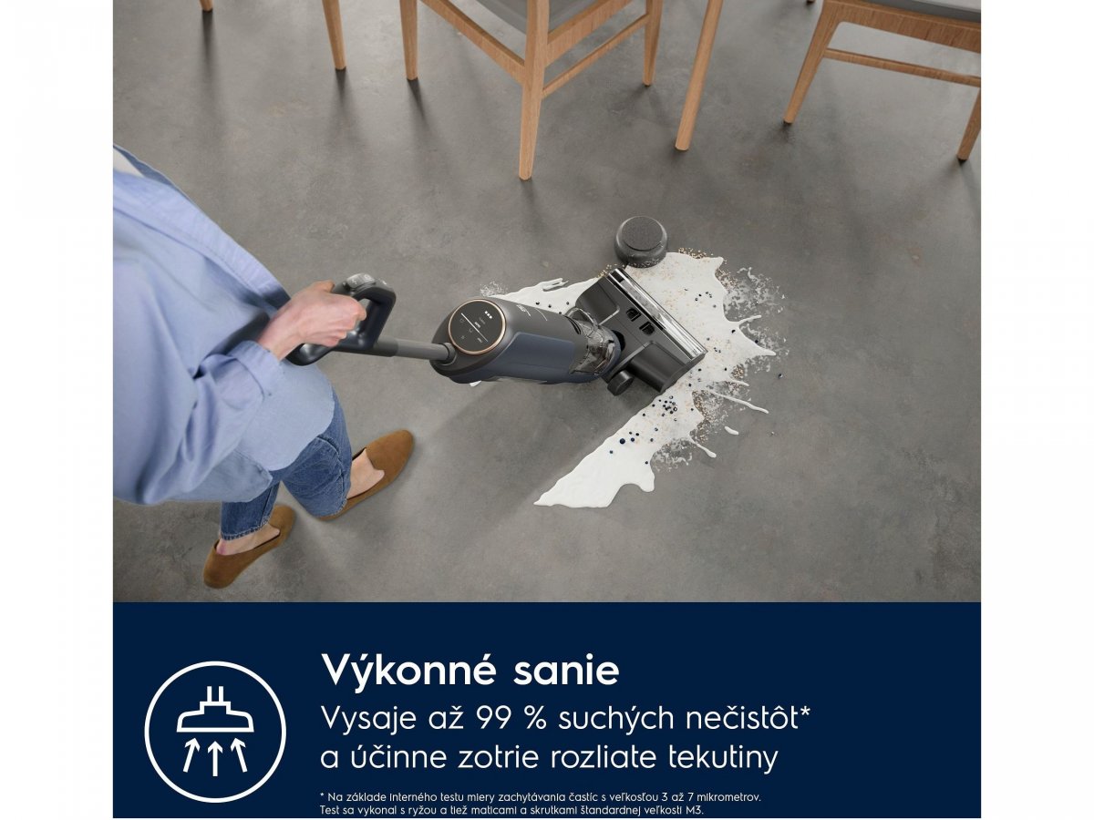 Výkonné sanie