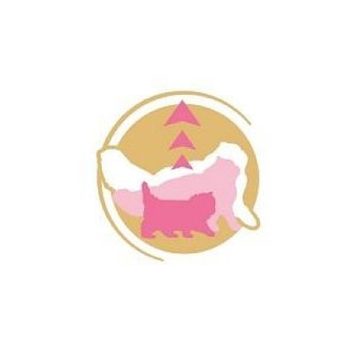 Zdravý vývoj a krásna srsť