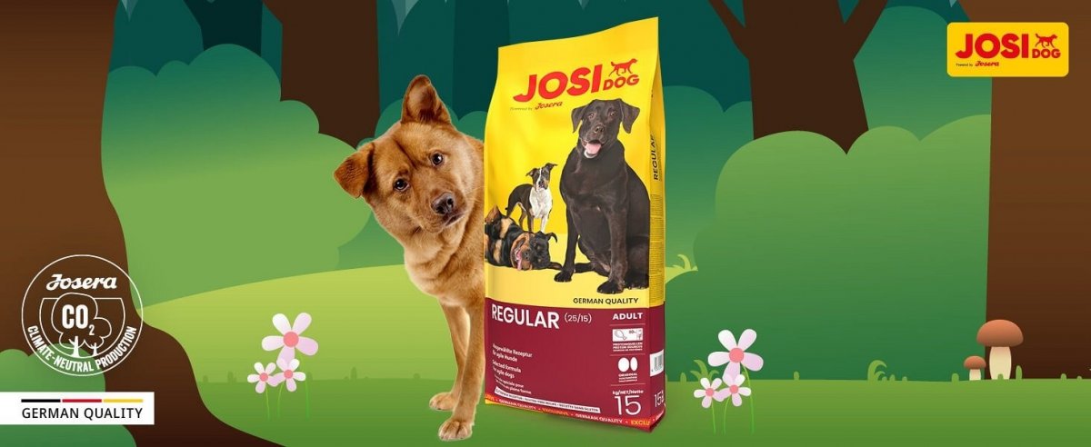 JosiDog Regular 15 kg