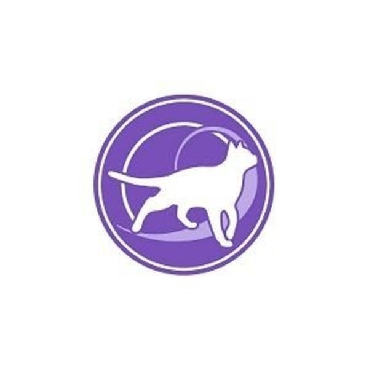 Aktívna jeseň života