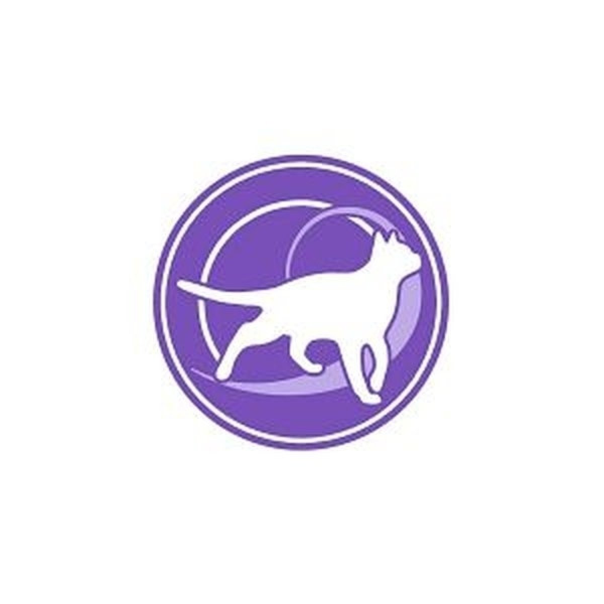 Aktívna jeseň života