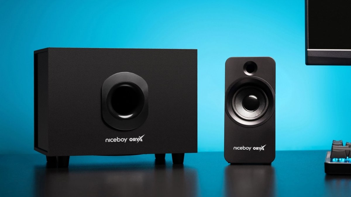 Dedikovaný subwoofer pre extra basový zvuk