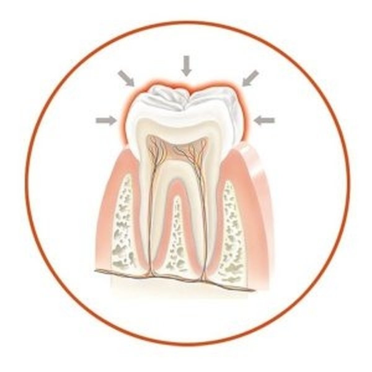 Podiel fluoridov