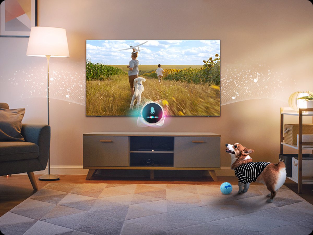 Televízor, ktorý upokojí vašich domácich miláčikov