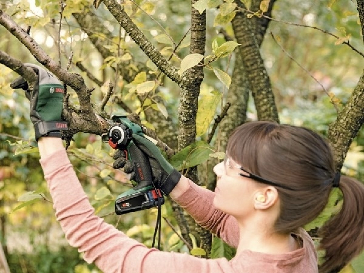 Regulácia rýchlosti