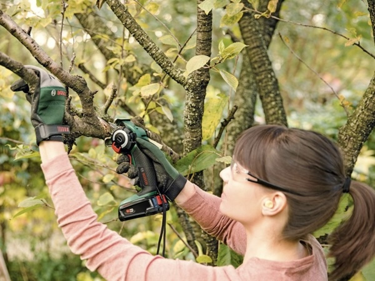 Regulácia rýchlosti