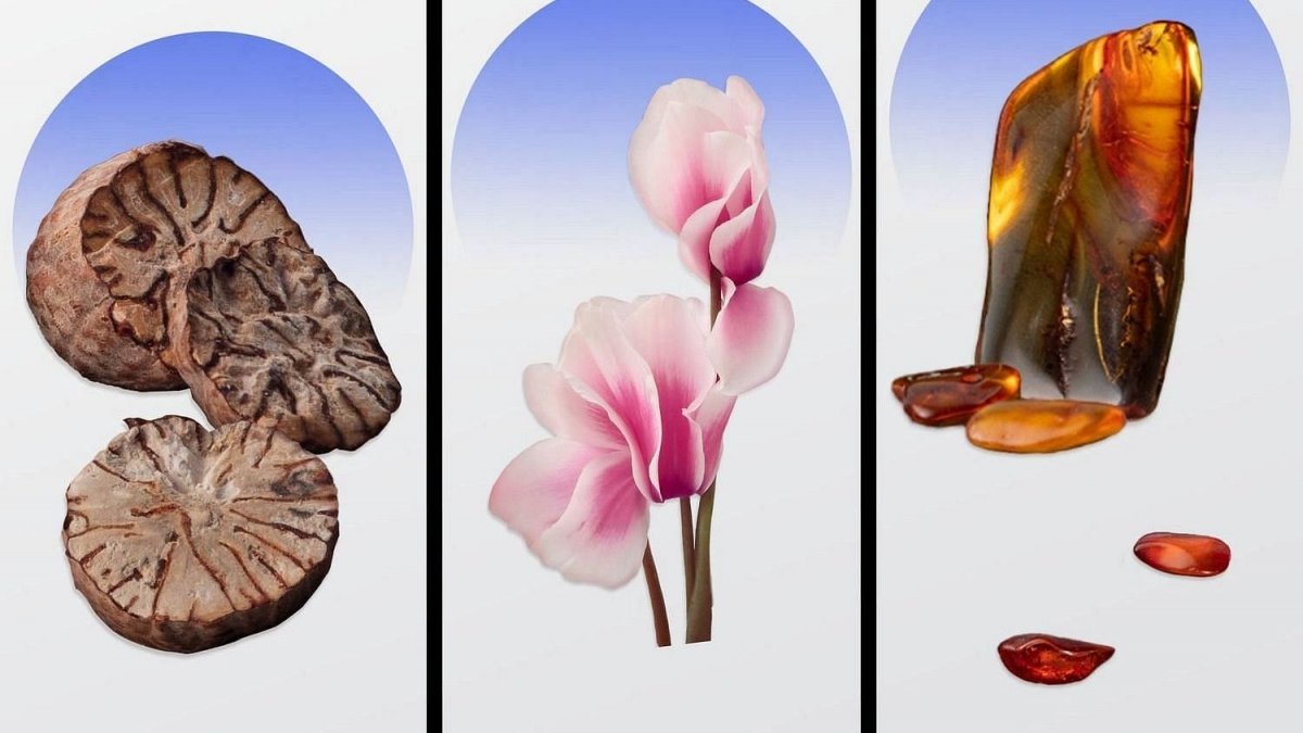 Bruno Banani Magic Man sprchový gél 250 ml