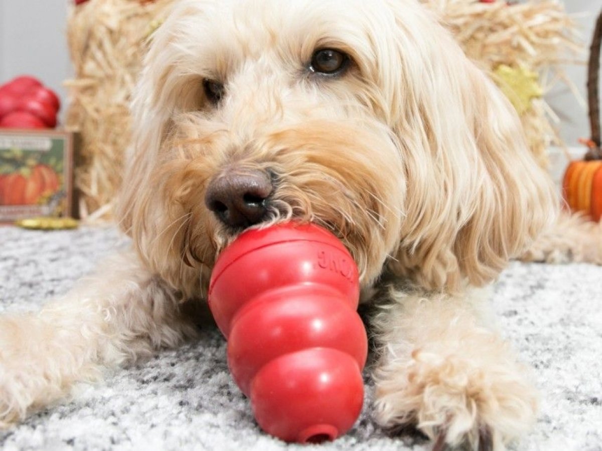 Pre zdatných lovcov