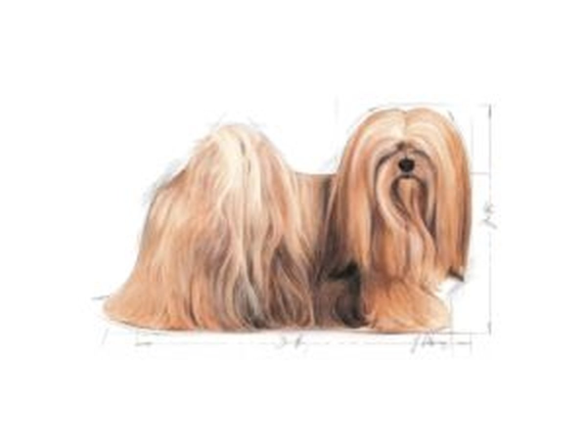 Možnosť výberu produktu