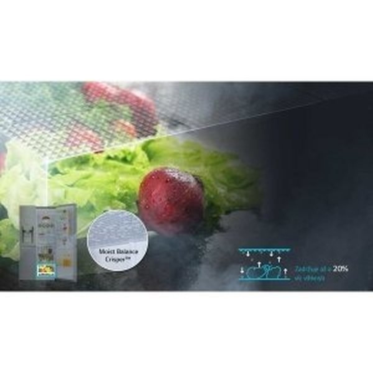 Zásuvka Moist Balance Crisper