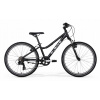 Junior bicykel - Cube Accip 200 ActionTeam Bike (Cube Accip 200 ActionTeam Bike)