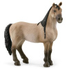 Schleich Criollo definitívny kôň