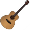 Pasadena SG01SZ GS Natural Akustická gitara Jumbo