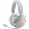 Dell Alienware Pro Wireless Gaming Headset (545-BBFT)