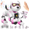INTERAKTÍVNY PROGRAMOVATEĽNÝ PES CHODÍ, ROBOT TANCUJE POVELY