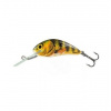 Salmo Hornet 03 F Real Identity Perch 3,5 cm