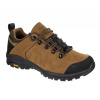 BENNON TERENNO 2.0 LOW / Celokožená trekingová obuv s membránou - hnedá 40