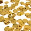 Flitre lomené 10 mm 10 g Zlatá