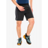 Bežecké kraťasy Dynafit Alpine Pro 2/1 Shorts - black