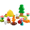 LEGO® DUPLO® Prasiatko Peppa 10452 Kempovačka