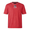 Canterbury British & Irish Lions Heritage T-Shirt 2025 Mens Red Haut 2XL