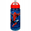 Karton P+P Láhev na pití 500ml
