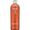 Tatratea Peach & White 42% 0,7 l (čistá fľaša)