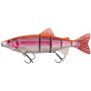 Fox Rage Realistic Replicant Golden Trout Jointed Shallow 23cm 158g