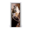 Fototapeta na dvere samolepiace káva Frappe 75x205
