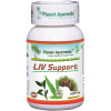 Liv Support (Pečeň) Planet Ayurveda ajurvéda kapsule