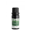 NOBILIS TILIA Éterický olej Eukalyptus Globulus 10 ml