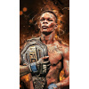 CUKROVÁ TLAČ jedlý obrázok na tortu Cukrová hmota UFC Israel Adesanya MMA + MENO