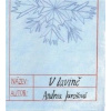 V lavině - Andrea Jarošová
