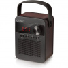 CARNEO F90 FM rádio, BT reproduktor, black/wood 8588007861890