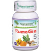 RumoGin5 Planet Ayurveda ajurvéda kapsule