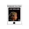 Hybridní politika