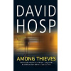 Among Thieves - David Hosp