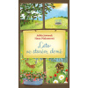 Léto ve starém domě (Adéla Jaworek, Hana Pinknerová)